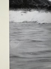Josef Muench B/W Gelatin Silver Photograph Hawaiian surfer at Waikiki Beach