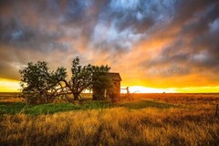 Great Plains Photography Print: Oklahoma Barn Stormy Sunset Prairie Photo