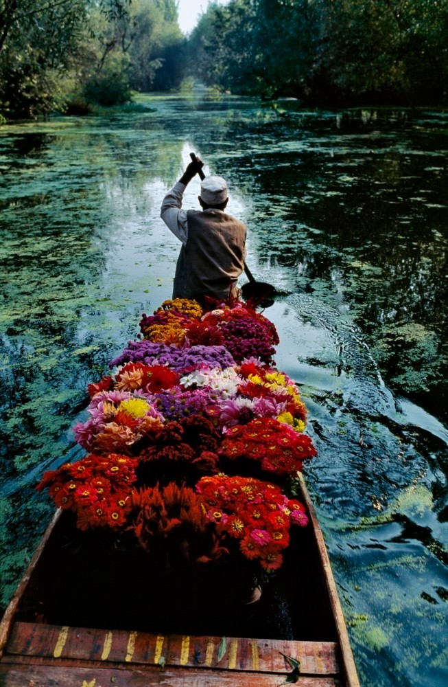 Steve McCurry – Signed – Flower Dal Lake, Kashmir, India – Magnum 6″x6″