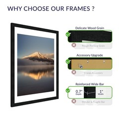 18X24 Poster Frame, Display Pictures 16X20 with Mat or 18X24 without, Wall Ha…