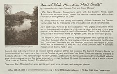 FOUR COYOTES Original Howling PHOTO Cave Creek BLACK MOUNTAIN Arizona 11″ x 14″