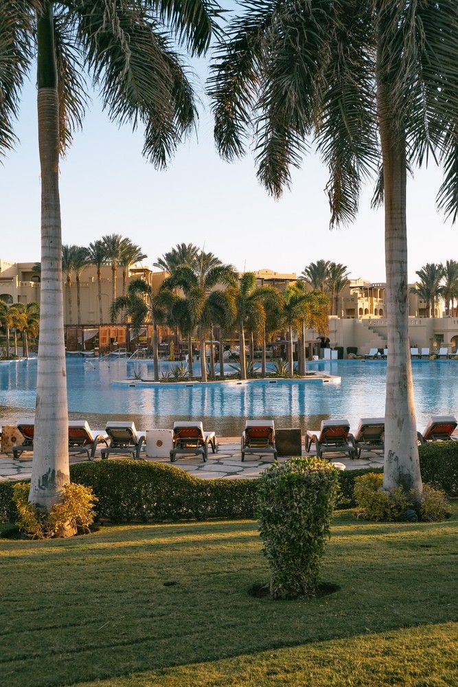 Digital Image Picture Photo Pic Wallpaper Background Swimming Pool Palm Trees