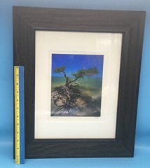 Jeff Ripple Signed Framed Photograph “New Turkey Key II”.