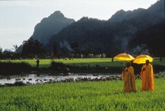 Film Slide Heaven & Earth Slide KB Format L17-27-5-4