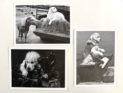 Set of Bruce Weber Original SIGNED Cards 2016, 2018 & 2019 Provenance Rare