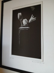 Framed Signed Dated PHOTOGRAPH Black & White Flowers/Vase 1989-14.75″H X 12″L